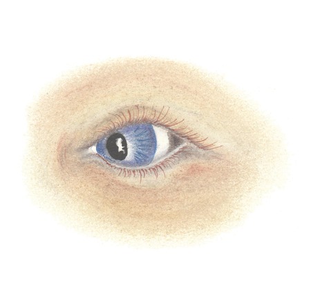 Event 25 …THE SEED Lives and is Seen!